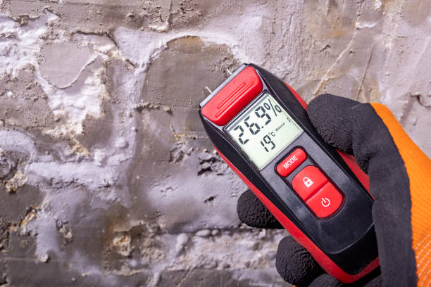 Best Mold Testing and Removal  in Jersey City, NJ