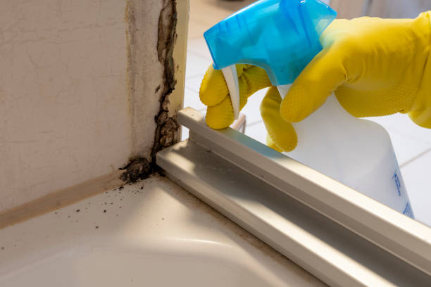 Best Mold Testing  in Jersey City, NJ