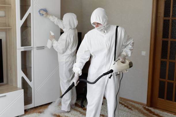 Professional Mold Removal in Jersey City, NJ