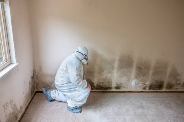 Crawl Space Mold Removal in Jersey City, NJ